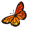 Butterfly Monarch